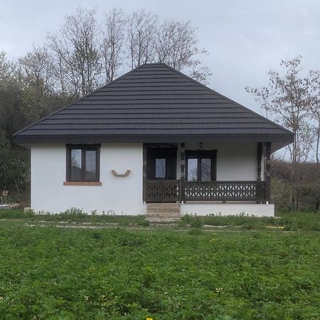 Vila Casa Livada Bunicii Tîrgu Ocna Exteriér fotografie