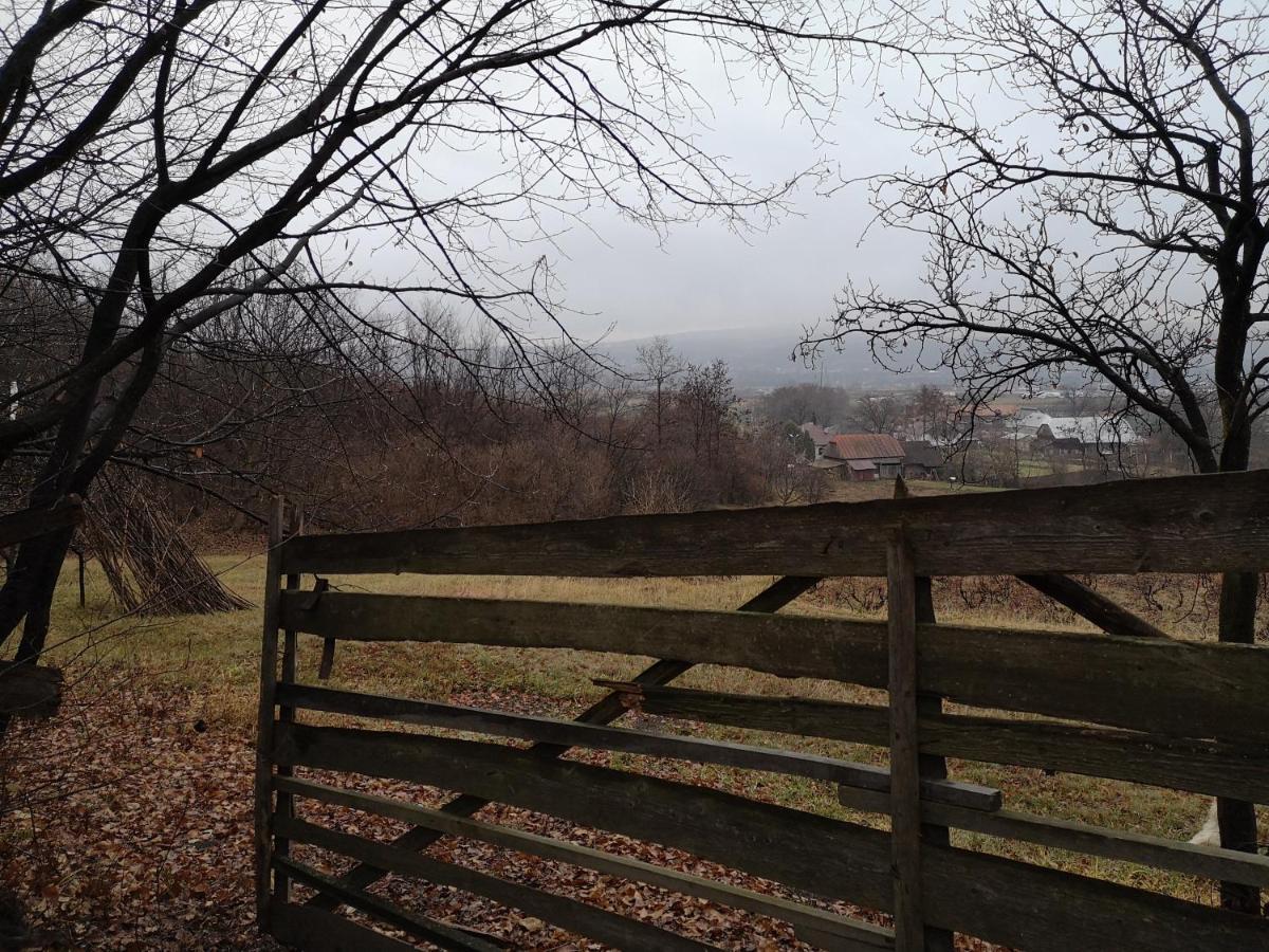Vila Casa Livada Bunicii Tîrgu Ocna Exteriér fotografie