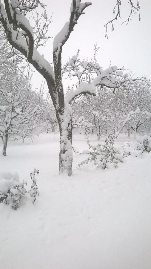 Vila Casa Livada Bunicii Tîrgu Ocna Exteriér fotografie