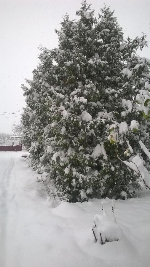 Vila Casa Livada Bunicii Tîrgu Ocna Exteriér fotografie