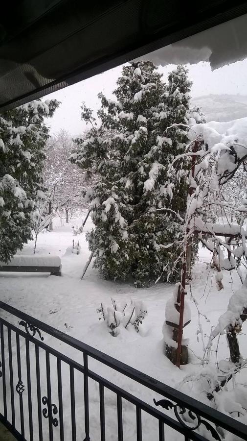 Vila Casa Livada Bunicii Tîrgu Ocna Exteriér fotografie