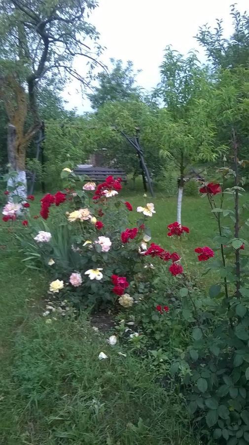 Vila Casa Livada Bunicii Tîrgu Ocna Exteriér fotografie