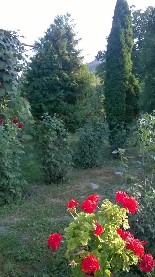 Vila Casa Livada Bunicii Tîrgu Ocna Exteriér fotografie
