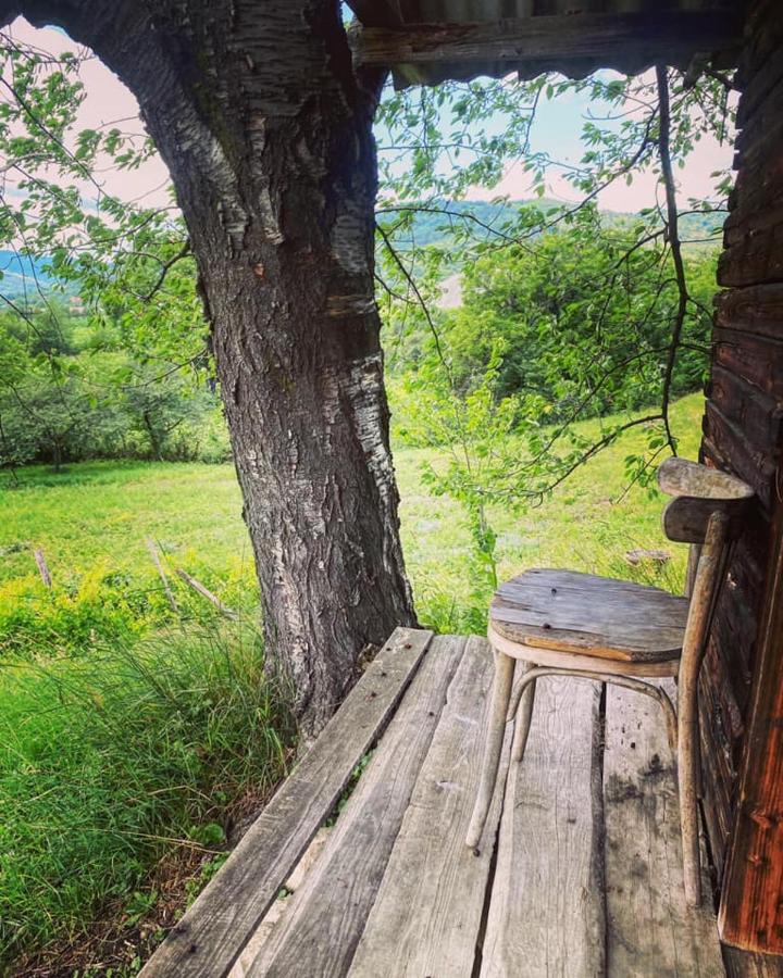 Vila Casa Livada Bunicii Tîrgu Ocna Exteriér fotografie