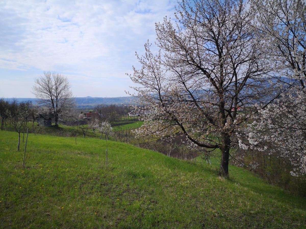 Vila Casa Livada Bunicii Tîrgu Ocna Exteriér fotografie