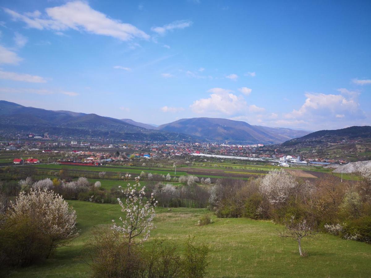 Vila Casa Livada Bunicii Tîrgu Ocna Exteriér fotografie
