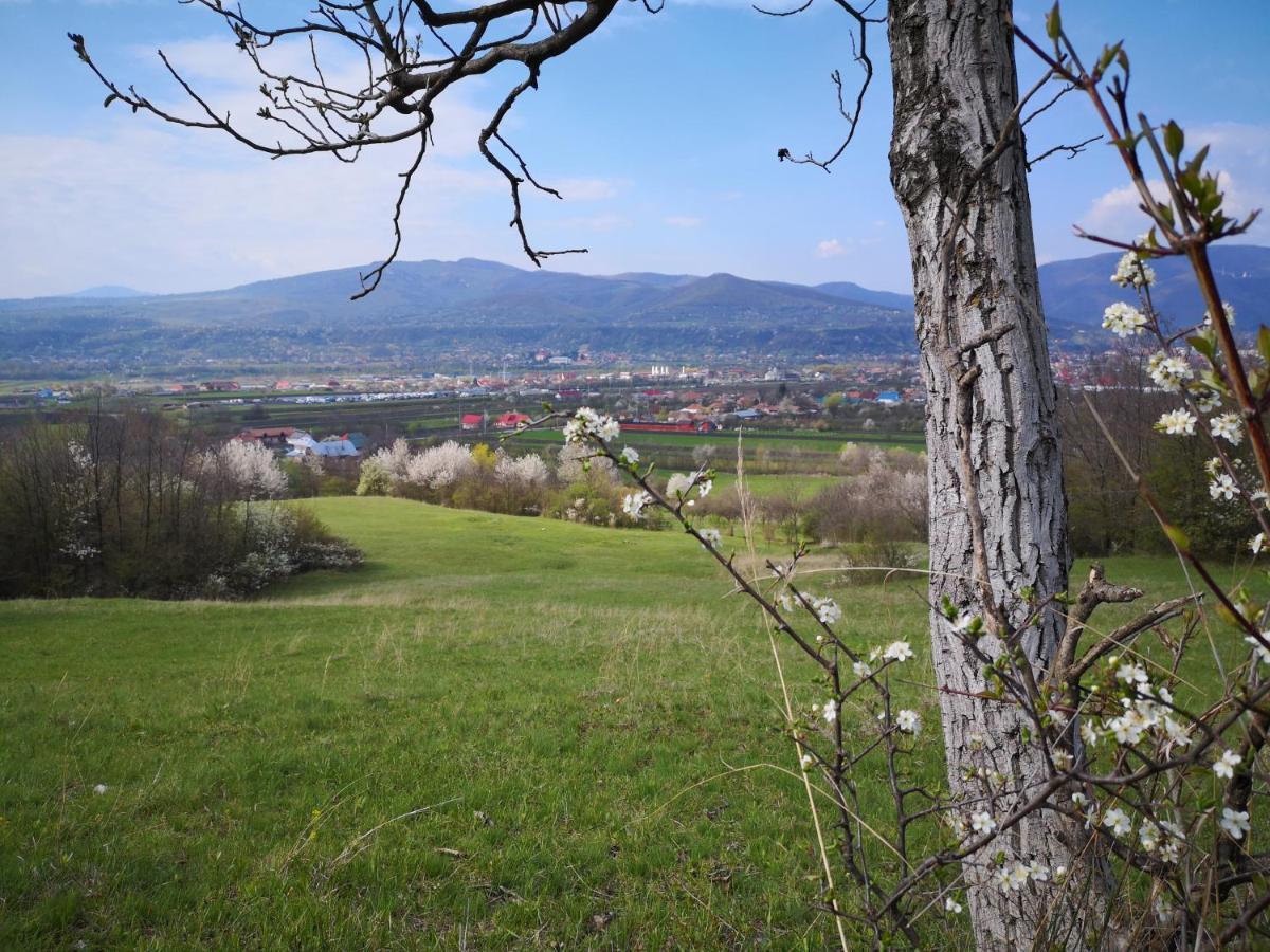 Vila Casa Livada Bunicii Tîrgu Ocna Exteriér fotografie