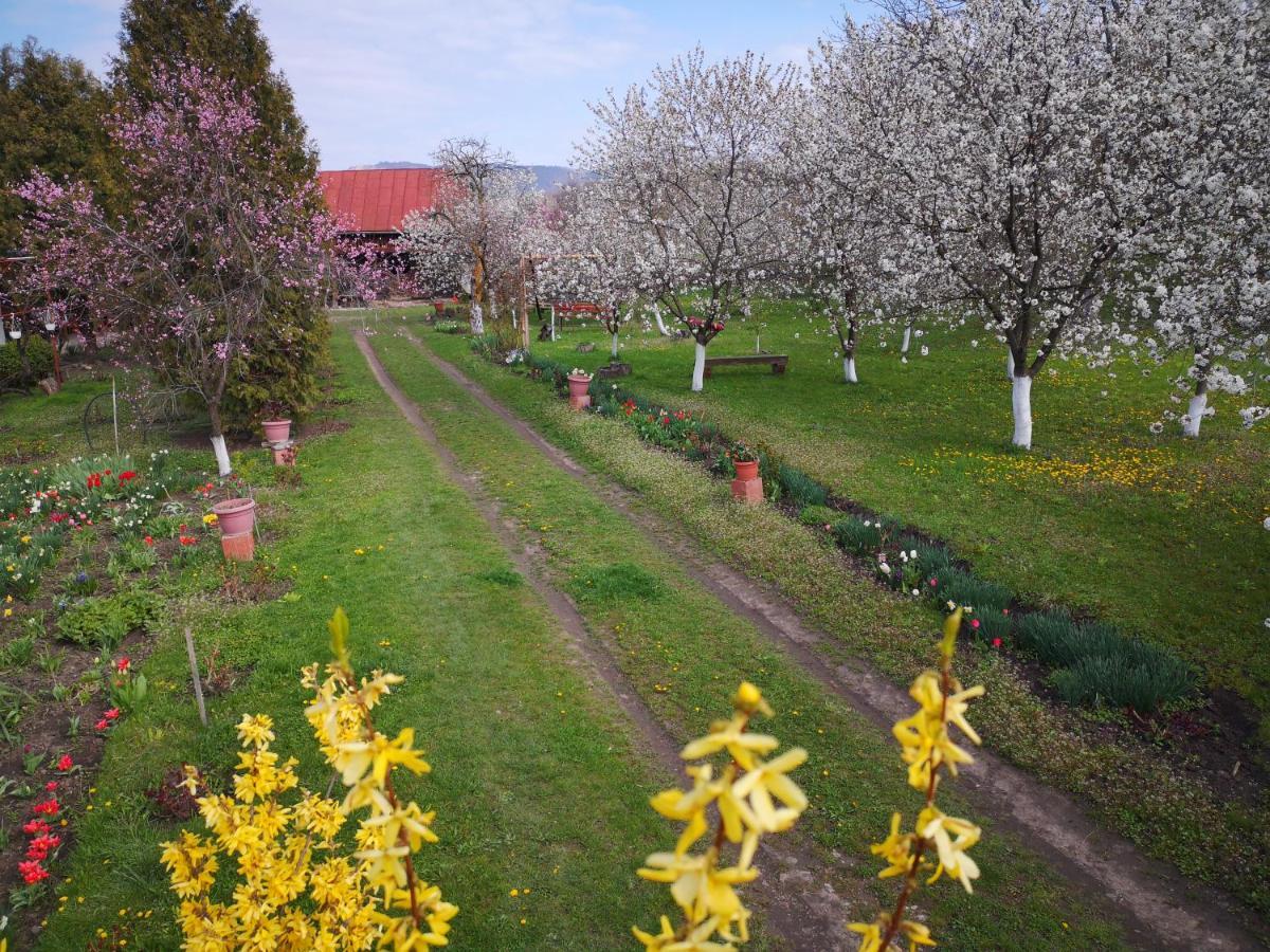 Vila Casa Livada Bunicii Tîrgu Ocna Exteriér fotografie