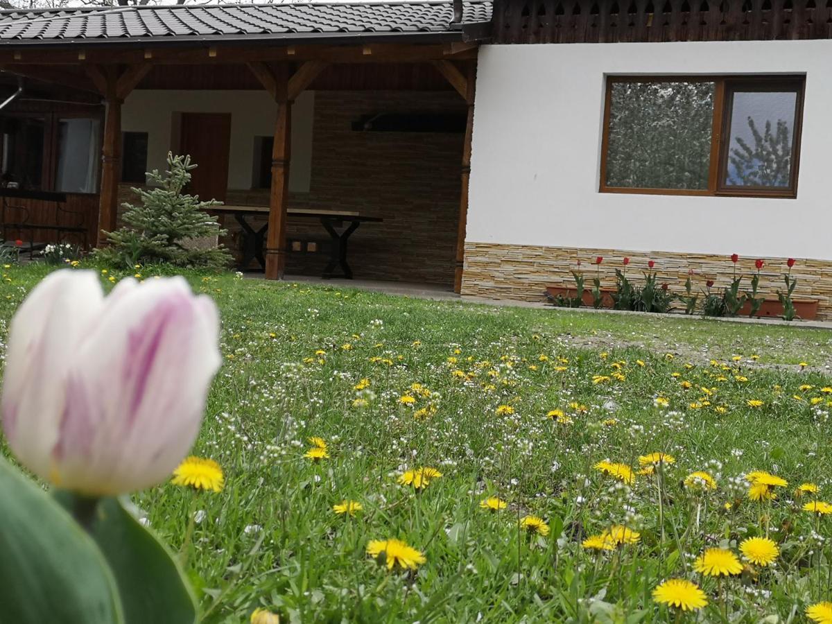 Vila Casa Livada Bunicii Tîrgu Ocna Exteriér fotografie