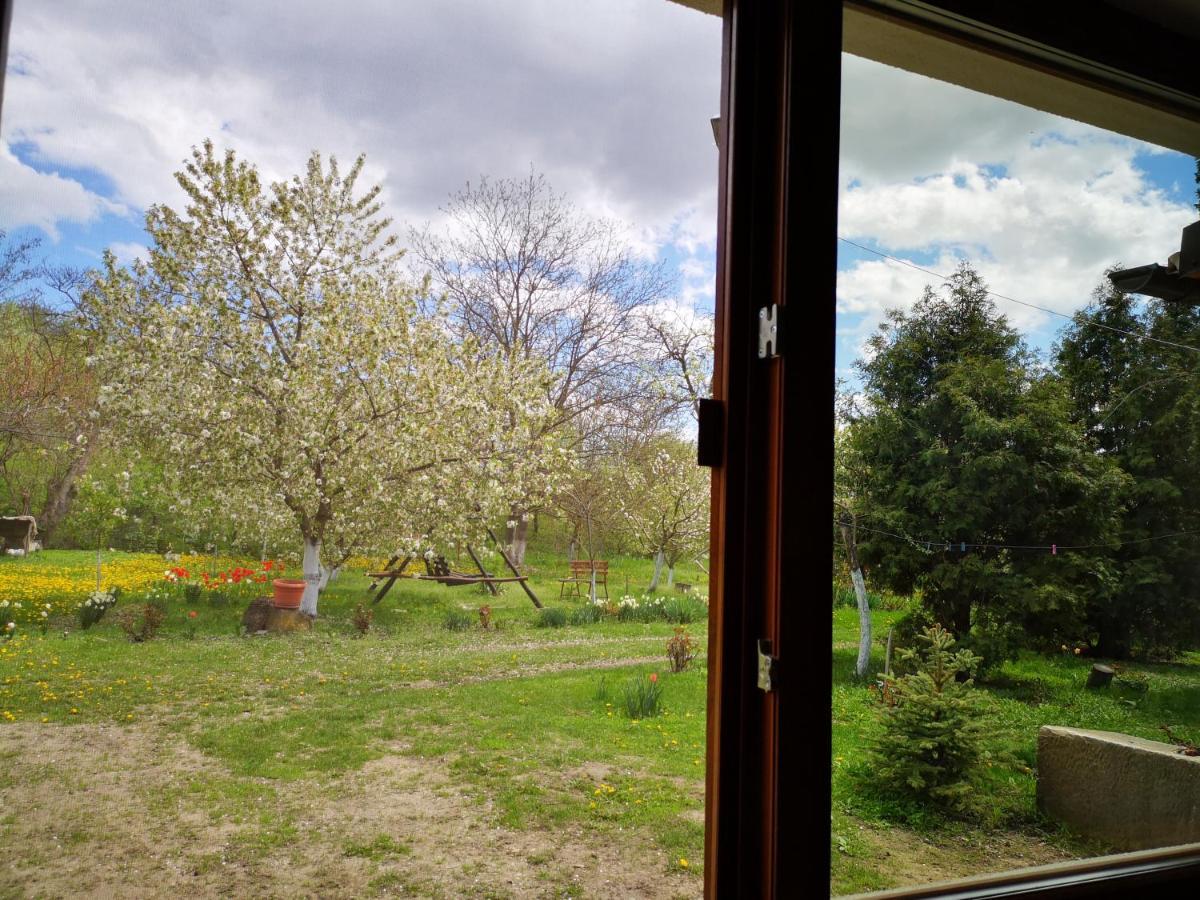 Vila Casa Livada Bunicii Tîrgu Ocna Exteriér fotografie