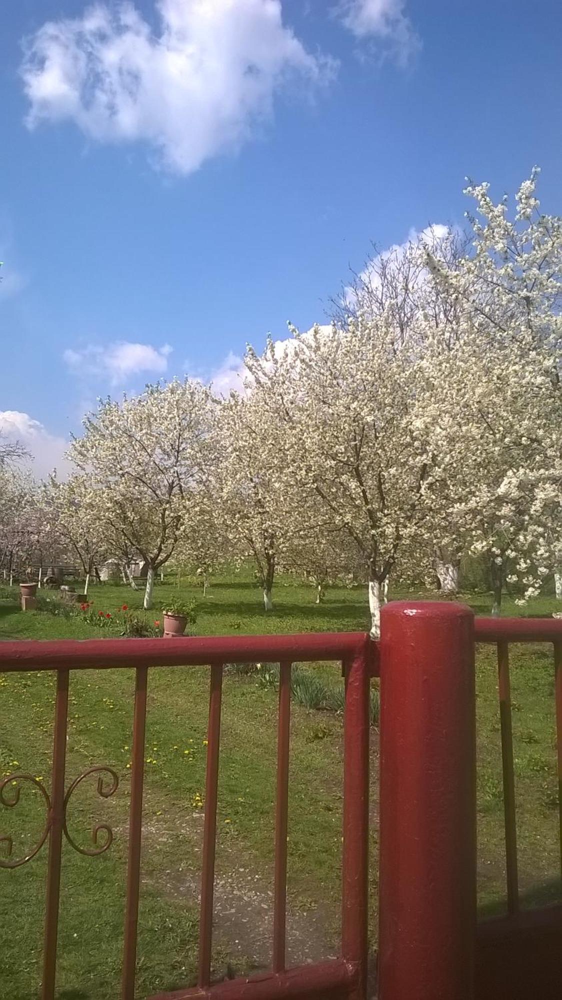 Vila Casa Livada Bunicii Tîrgu Ocna Exteriér fotografie
